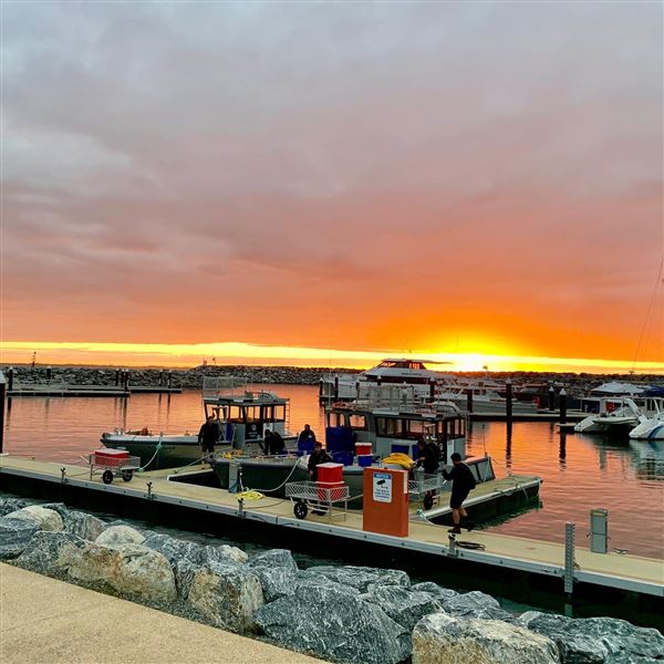 Augusta - Boat Harbour (13/11/2024)