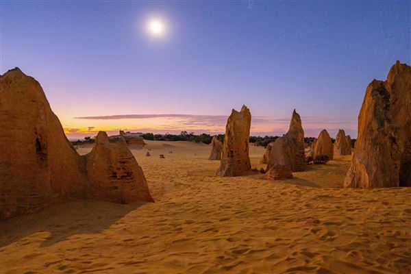 Pinnacles - Nambung National Park (17/01/2025 - Credits: Tourism Australia)