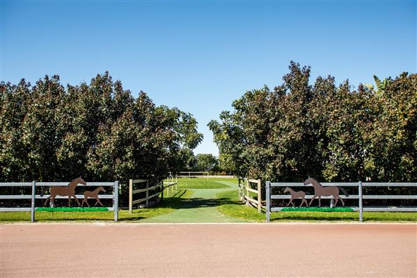 Gold Front Breeding & Racing (28/01/2025)
