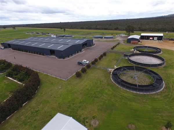 Gold Front Breeding & Racing (28/01/2025)