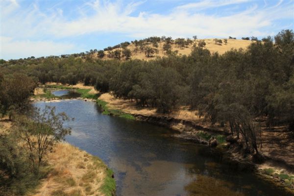 Toodyay (12/02/2025)