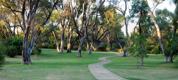 Pinnaroo Valley Memorial Park (23/04/2025)