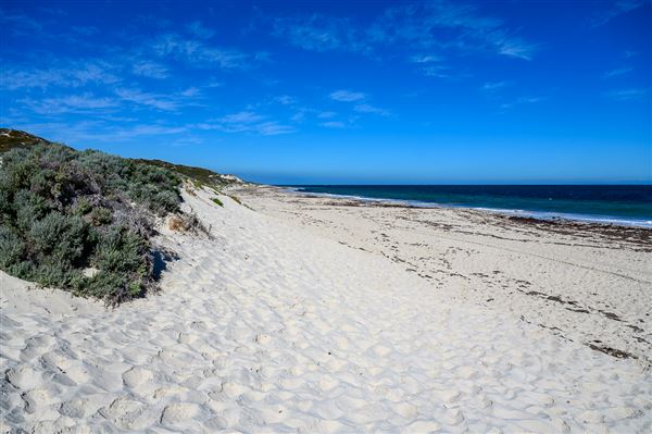 Claytons Beach (4/06/2025 - Credits: Xander Kabat)