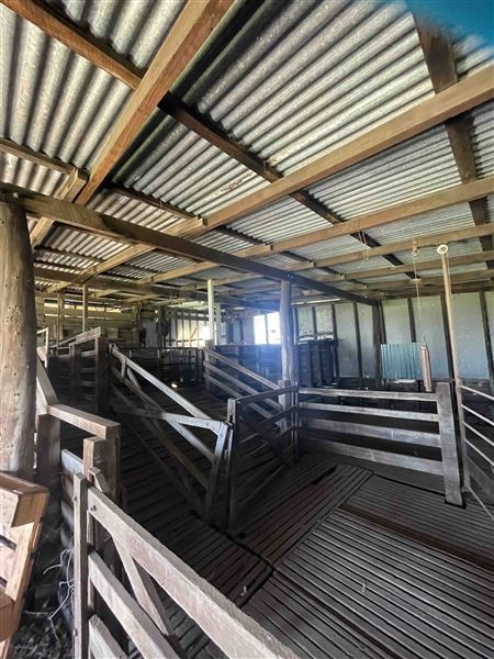 Shearing Shed @ Duke's Vineyard (28/06/2025 - Credits: Sarah Date)
