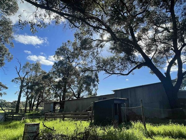 Shearing Shed @ Duke's Vineyard (28/06/2025 - Credits: Sarah Date)