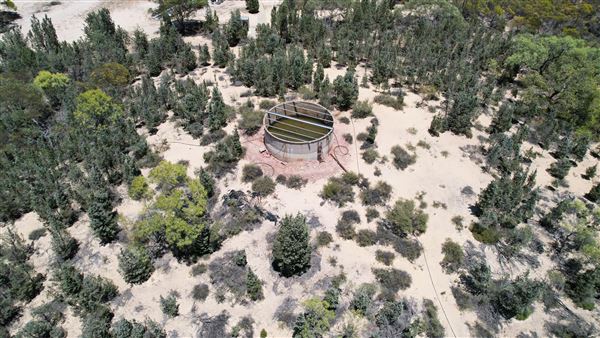 Coorow Farm (1/01/2025 - Credits: Chris Pryor, Tracy Izzard and Leonie Hull)