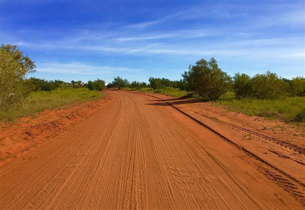 Pardoo Wagyu Station (11/06/2025)