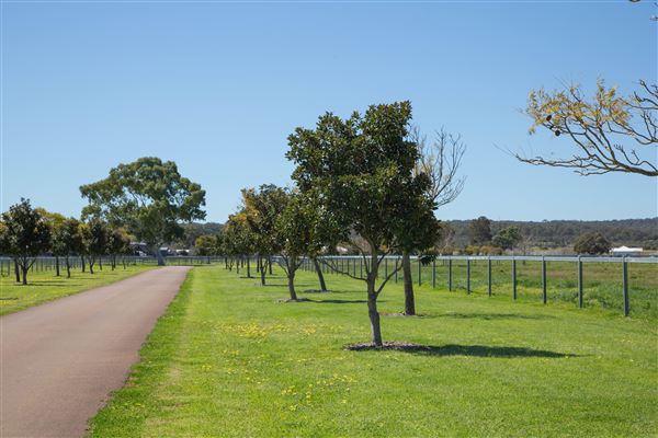 Gold Front Breeding & Racing (11/03/2026 - Credits: Louise Brady)