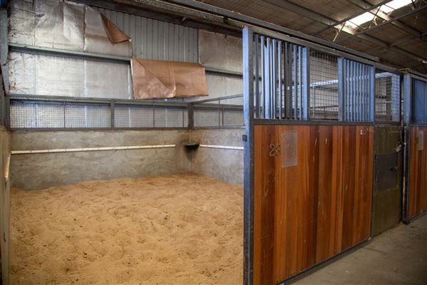 Gold Front Breeding & Racing (11/03/2026 - Credits: Louise Brady)