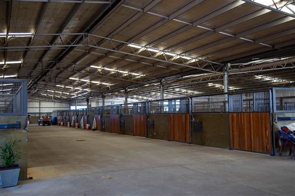 Gold Front Breeding & Racing (11/03/2026 - Credits: Louise Brady)