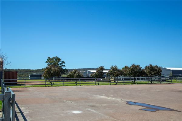 Gold Front Breeding & Racing (11/03/2026 - Credits: Louise Brady)
