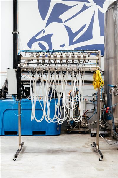 Limestone Coast Brewery (1/05/2026 - Credits: Limestone Coast Malaga)