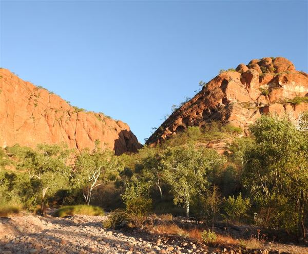 Bungle Bungles Range - Purnululu National Park (17/07/2026 - Credits: DBCA)