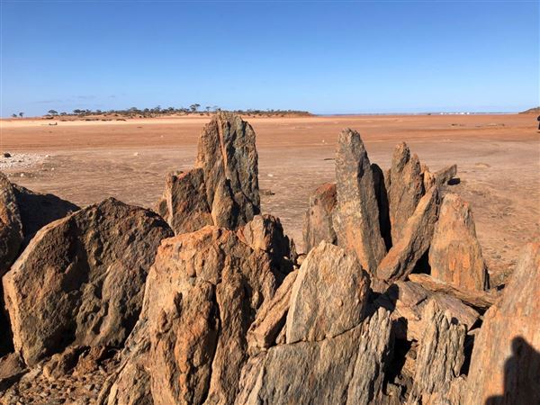 Coolgardie (29/07/2026)