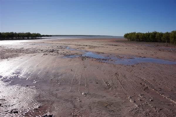 Broome - Catalina Boat Ramp (19/03/2015)