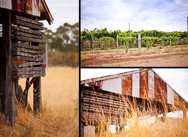 Caversham Vineyards (19/03/2015)