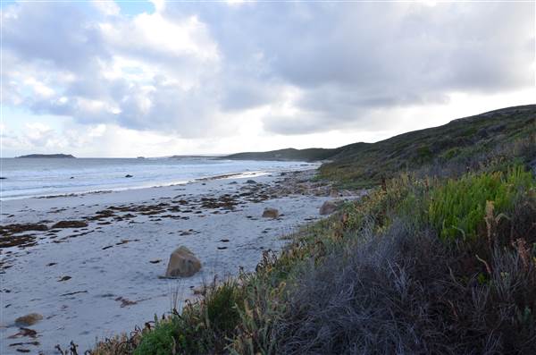 Foul Bay (20/03/2015)