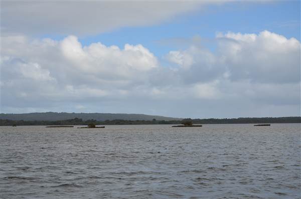 Hardy Inlet, Augusta (21/03/2015)
