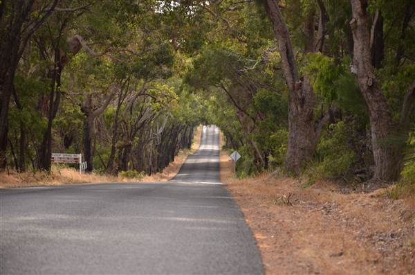 Yallingup - Wyadup Road to Indijup Beach (21/03/2015)