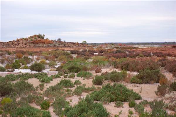 Hannan Lake (23/03/2015 - Credits: Tim Burns)