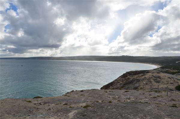 Hamelin Bay (23/03/2015)