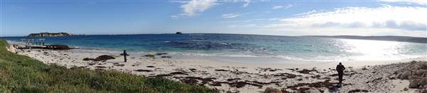 Hamelin Bay (23/03/2015)