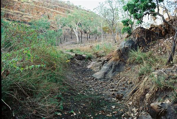 Middle Springs East Kimberley (23/03/2015)