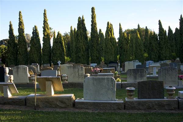 Karrakatta Cemetery (24/03/2015)