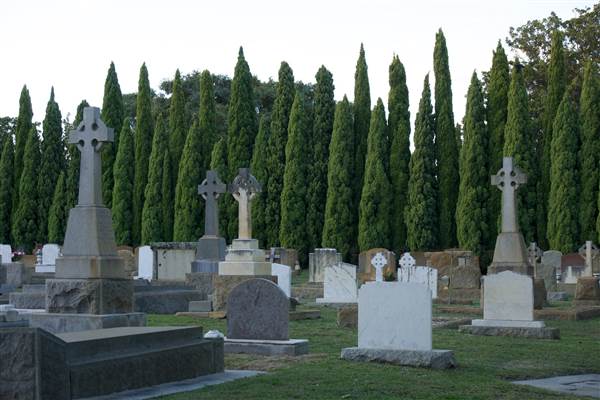 Karrakatta Cemetery (24/03/2015)