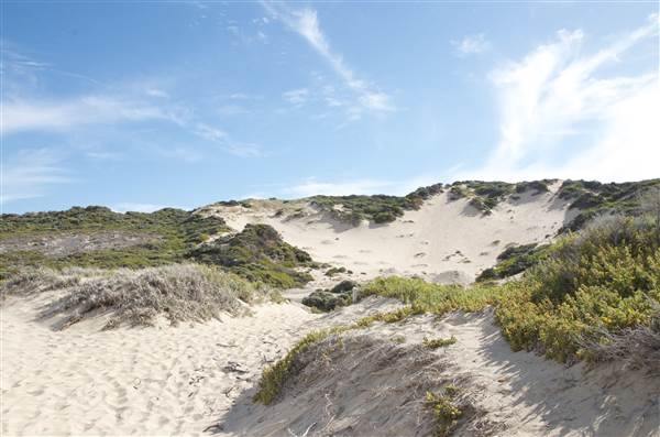 Wilyabrup - Moses Rock (24/03/2015)