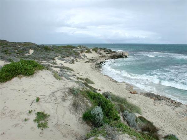 The Spot (25/03/2015)
