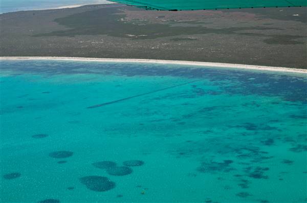 Abrolhos Islands - West Wallabi Island (15/12/2015 - Credits: Chris Veerhuis)