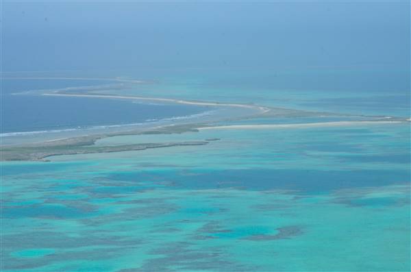 Abrolhos Islands - Pelsaert Island (15/12/2015)