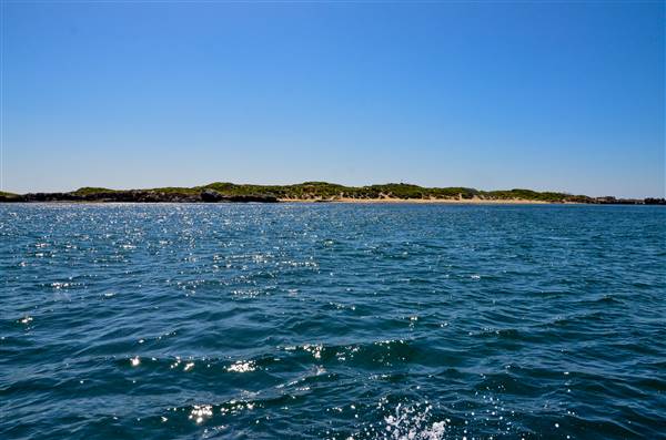 Cape Peron - Rockingham - from water (21/12/2015 - Credits: Chris Veerhuis)