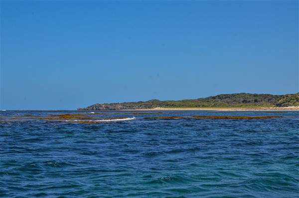 Garden Island - Ewing Bay (22/12/2015 - Credits: Chris Veerhuis)