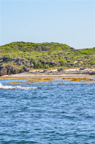 Garden Island - Collins Point - from water (22/12/2015 - Credits: Chris Veerhuis)