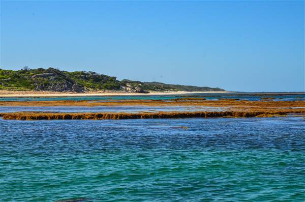 Garden Island - Point Atwick - North and South Bay from Water (22/12/2015 - Credits: Chris Veerhuis)