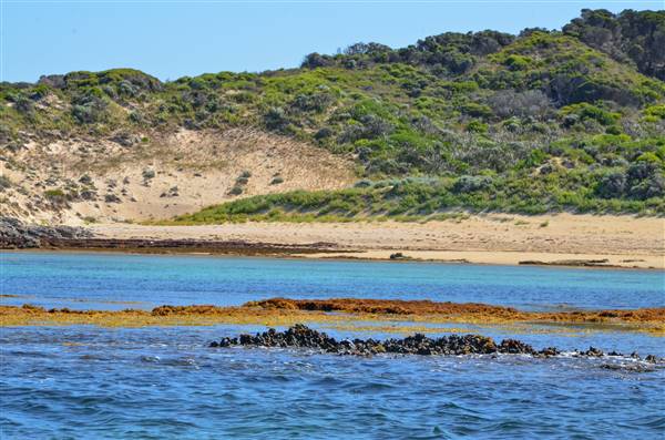Garden Island - Point Atwick - North and South Bay from Water (22/12/2015 - Credits: Chris Veerhuis)