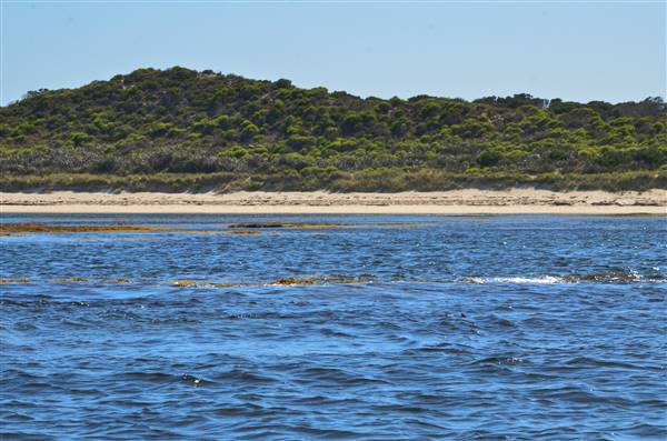 Garden Island - Calista Point - from water (22/12/2015 - Credits: Chris Veerhuis)