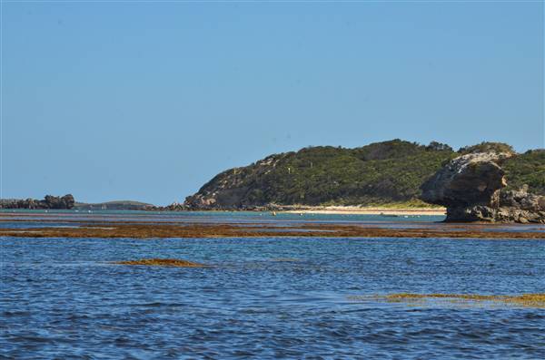 Garden Island - Calista Point - from water (22/12/2015 - Credits: Chris Veerhuis)