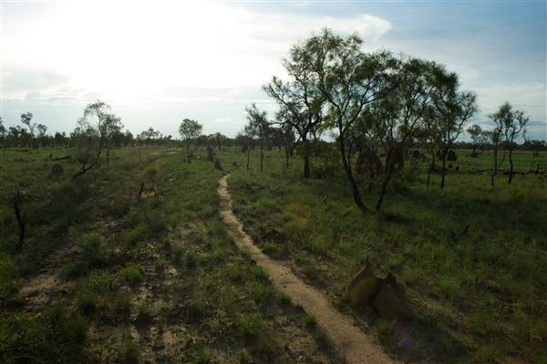 Derby - Landscapes - Road to Broome (14/07/2016 - Credits: Tim Burns)