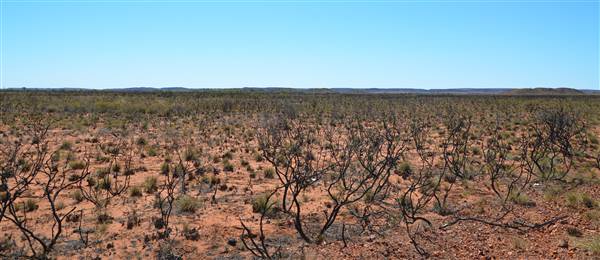 Port Hedland - Road heading north (29/09/2016 - Credits: Chris Veerhuis)