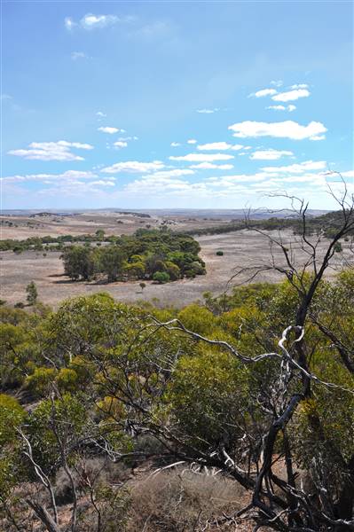 Chapman Valley - 11th Battalion, Mullewa Rd. (3/05/2017 - Credits: Chris Veerhuis)