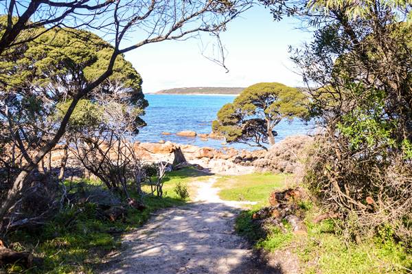 Bunker Bay (6/06/2017 - Credits: Duncan Jones)