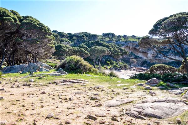 Bunker Bay (6/06/2017 - Credits: Duncan Jones)