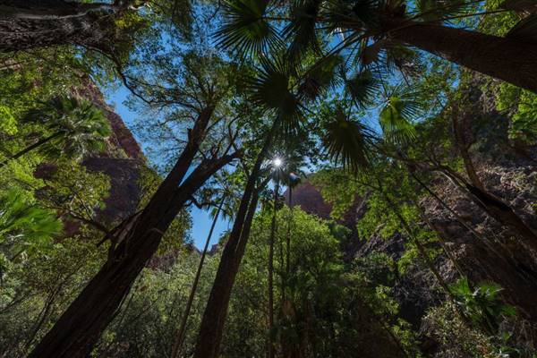 El Questro - Zebedee Springs (12/06/2017 - Credits: Delaware North)