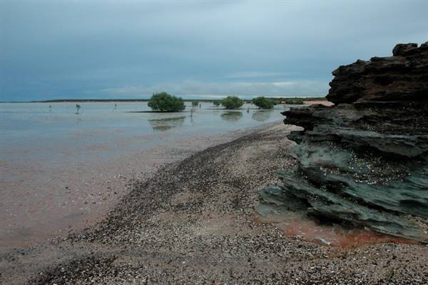 Broome - Roebuck Bay coast (18/07/2017 - Credits: Tim Burns)