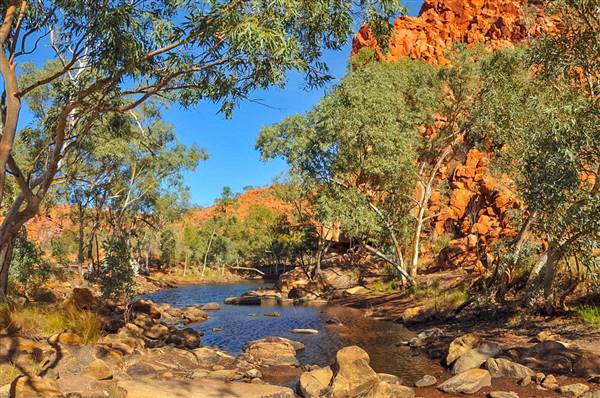 Karlamilyi National Park (19/07/2017 - Credits: Dan Wood)