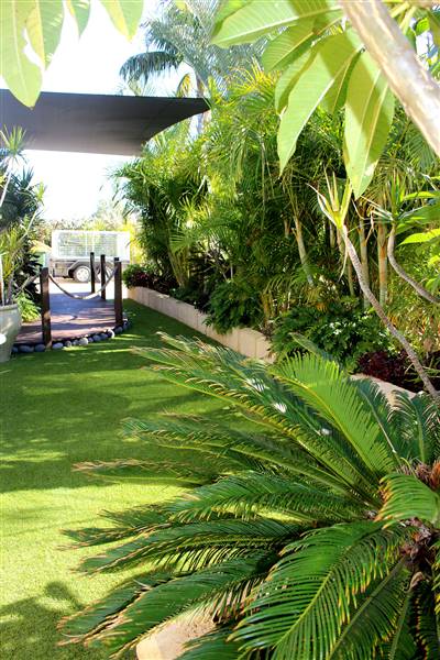 Wattle Grove (25/07/2017)