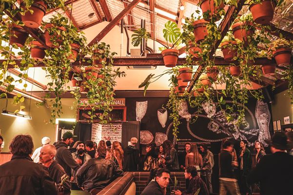Freo.Social (1/07/2019 - Credits: Tashi Hall)